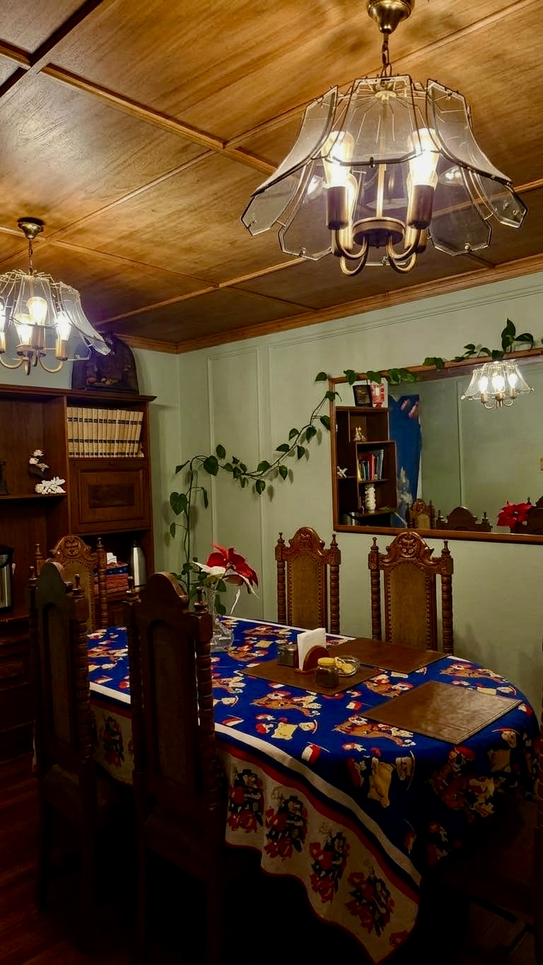 Espacio para desayunar en Hotel Villa Alemana